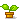 RANK6_IMG